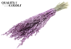 Avena Pink Glitter 60cm 250gram