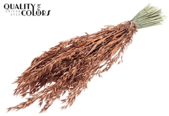 Avena Copper+Glit 60cm 250gram