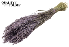 Avena Fr. Milka 60cm 250gram