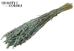 Avena Fr. Li. Blue 60cm 250gram
