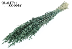 Avena Pearl Green 60cm 250gram