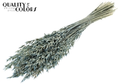 Avena Pearl Li. Blue 60cm 250gram