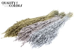 Avena Mixed Metallic 60cm 250gram