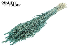 Avena Pearl Turquoise 60cm 250gram