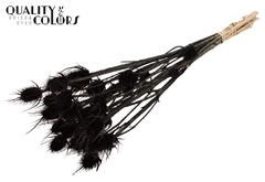 Cardi 10 Bl.Black