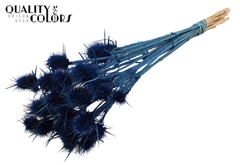 Cardi 10 Bl.da. Blue