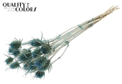 Cardi 10 Pearl Li. Blue