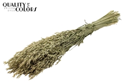 Avena Natural 60cm 250gram