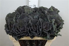 Brass Black Leaf 70cm
