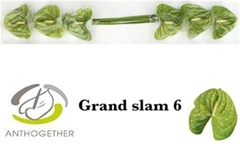 Anth A Grand Slam 13cm Ø