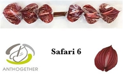 Anth A Safari 13cm Ø