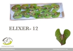 Anth A Elixer 13cm Ø