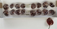Anth A Other 11cm Ø