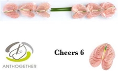 Anth A Cheers 13cm Ø