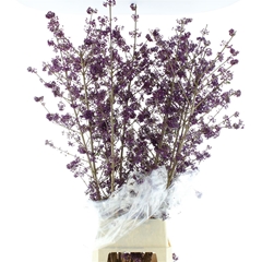 Callicarpa Bod Profu 140cm