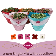 Kalan Bl Gem 5 Kleur 23Ø 27cm
