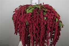 Amar Caud Rosary 80cm