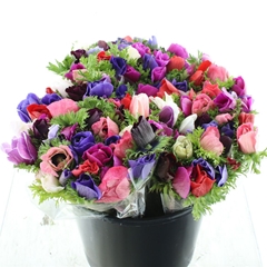 Anem Ov Gem In Bunch 30cm