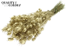 Nigella Gold 45cm 150gram