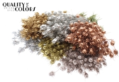 Nigella Mixed 45cm 150gram