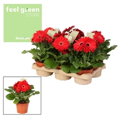 Ger F L Rood 12Ø 20cm