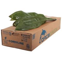 Cord Fr Green Tie 80cm