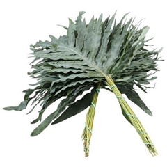 Decor Groen Other 65cm