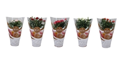 Ro Fav Ro Mixk 17Ø 40cm