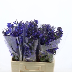 Delph En Deldon Blue 65cm 23
