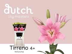Li La Tirreno 90cm 45+