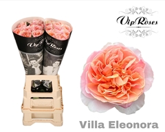 R Gr Villa Eleonora