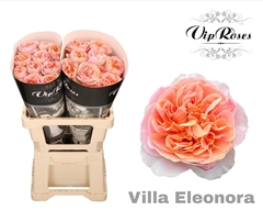 R Gr Villa Eleonora