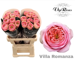 R Gr Villa Romanza