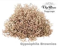 Gyps Pa Brownies