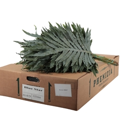 Decor Groen Other 75cm