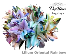Li Or Rainbow