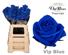 R Gr Vip Blue 65CM X40