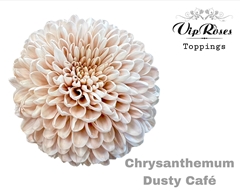 Chr G Dusty Cafe