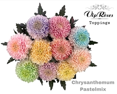 Chr G Pastelmix