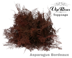 Asp Ov Extra Veren Bordeaux