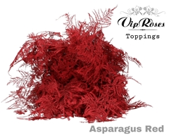Asp Ov Getopt Lang Red