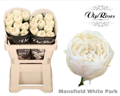 R Gr Mansfield White Park