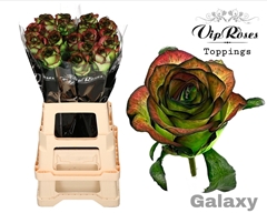 R Gr Galaxy