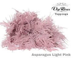 Asp Ov 1E Veren Light Pink
