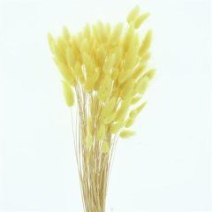 Droogbl Bewerkt H% 60cm 60gram
