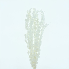 Droogbl Bewerkt H% 70cm