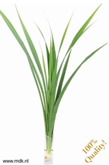 Decor Groen Other 160cm