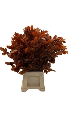 Decorgr Klb Pb 21% 60cm