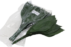 Aspidistra E Per Bunch 60cm