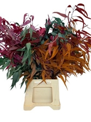Decorgr Klb Pb 21% 70cm